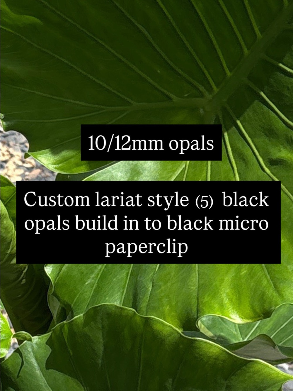 Queens custom